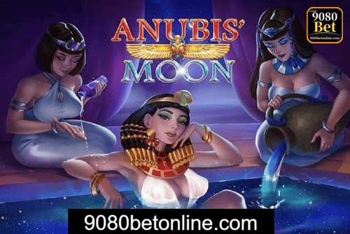 Multi-Sport Coverage